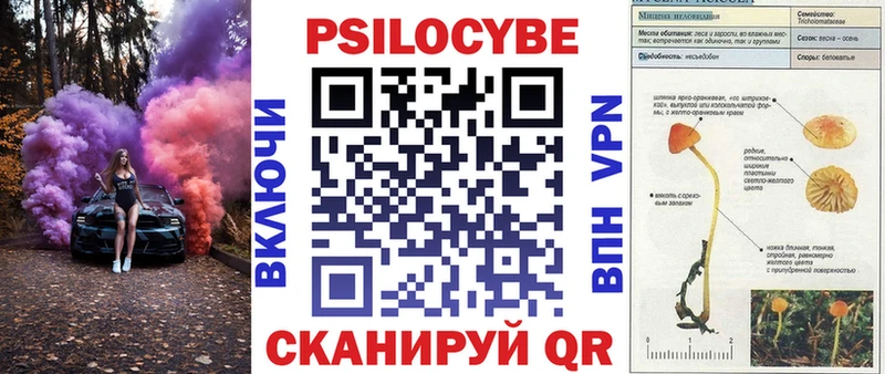 Псилоцибиновые грибы Psilocybe дарнет шоп Калачинск